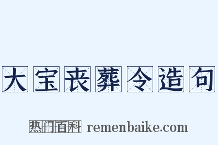 大宝丧葬令造句是什么意思的图片